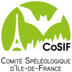 CoSIF_logo