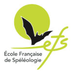 EFS_logo